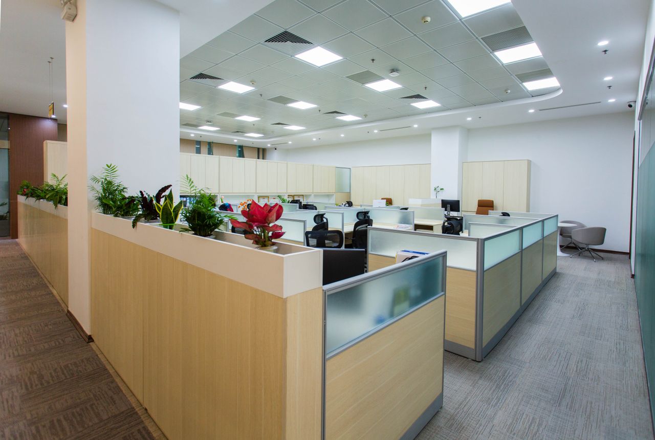 about-us-01 Spacious and bright open office area with cubicles, plants, and contemporary design.
